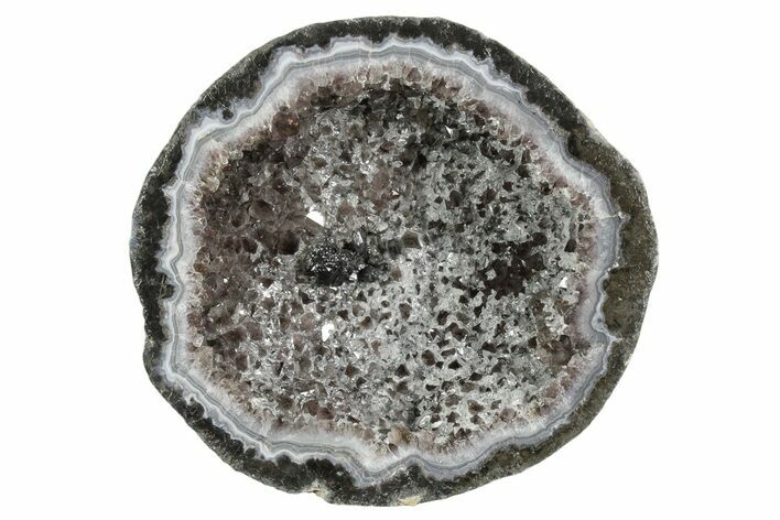 Las Choyas Coconut Geode Half with Smoky Amethyst - Mexico #348469